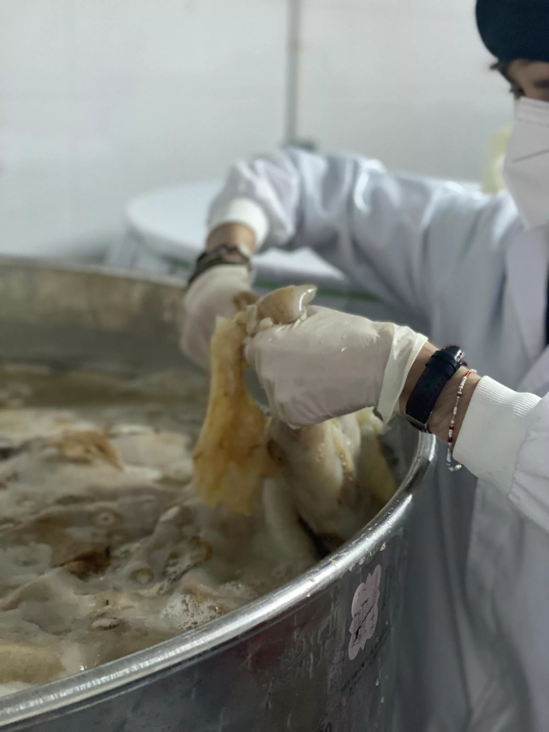 Así elaboran la bebida en Viver Kombucha Así elaboran la bebida en Viver Kombucha - Sputnik Mundo, 1920, 25.10.2021