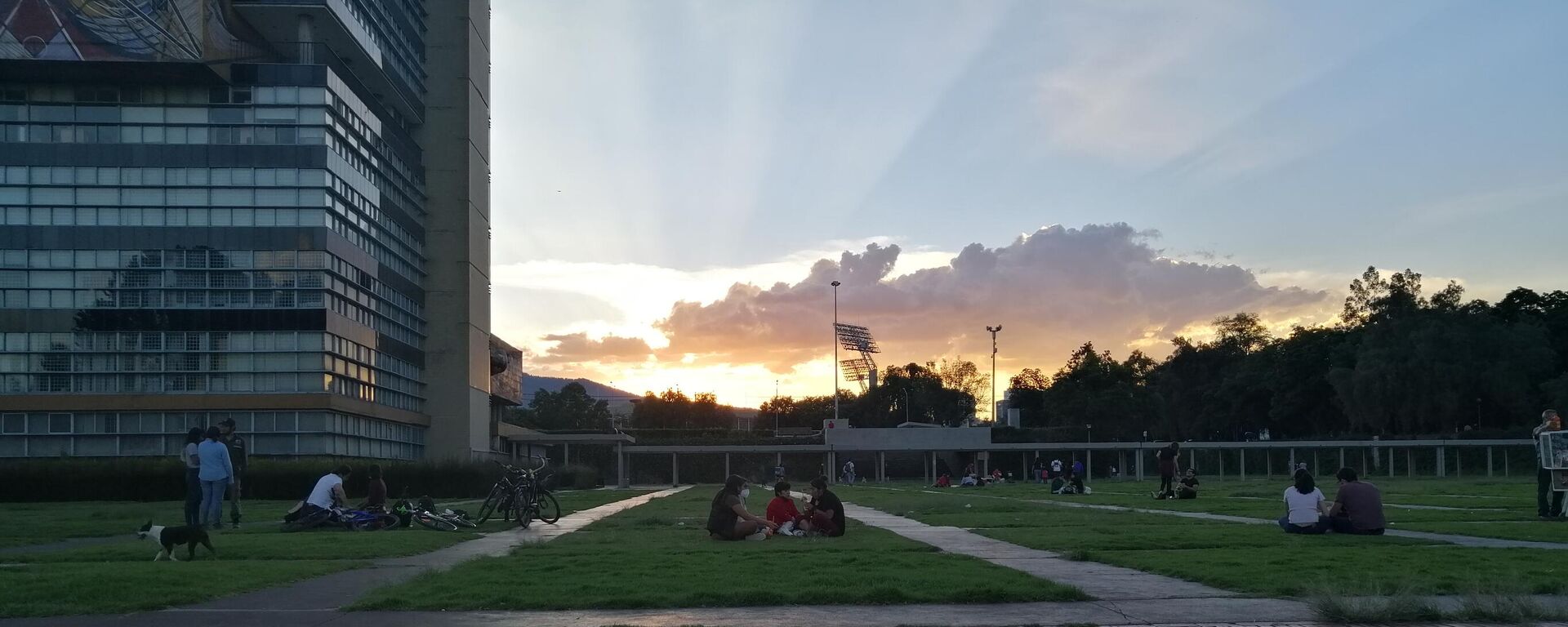 Torre de Rectoría de la Universidad Nacional Autónoma de México - Sputnik Mundo, 1920, 25.10.2021