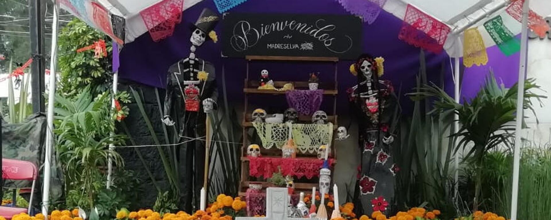 Ofrenda de Día de Muertos - Sputnik Mundo, 1920, 27.10.2021