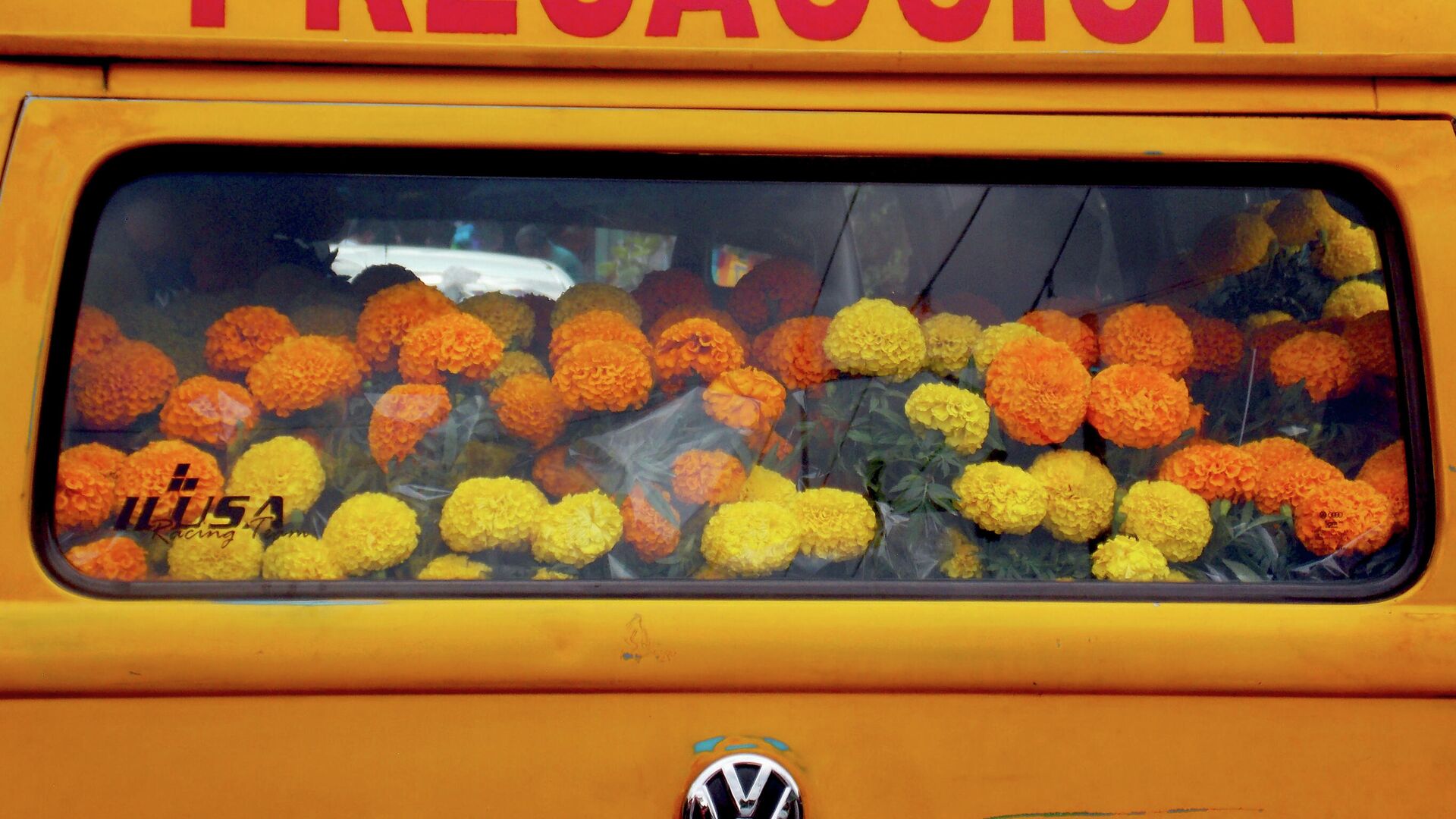 Camioneta llena con flores de cempasúchil Camioneta llena con flores de cempasúchil - Sputnik Mundo, 1920, 26.10.2021