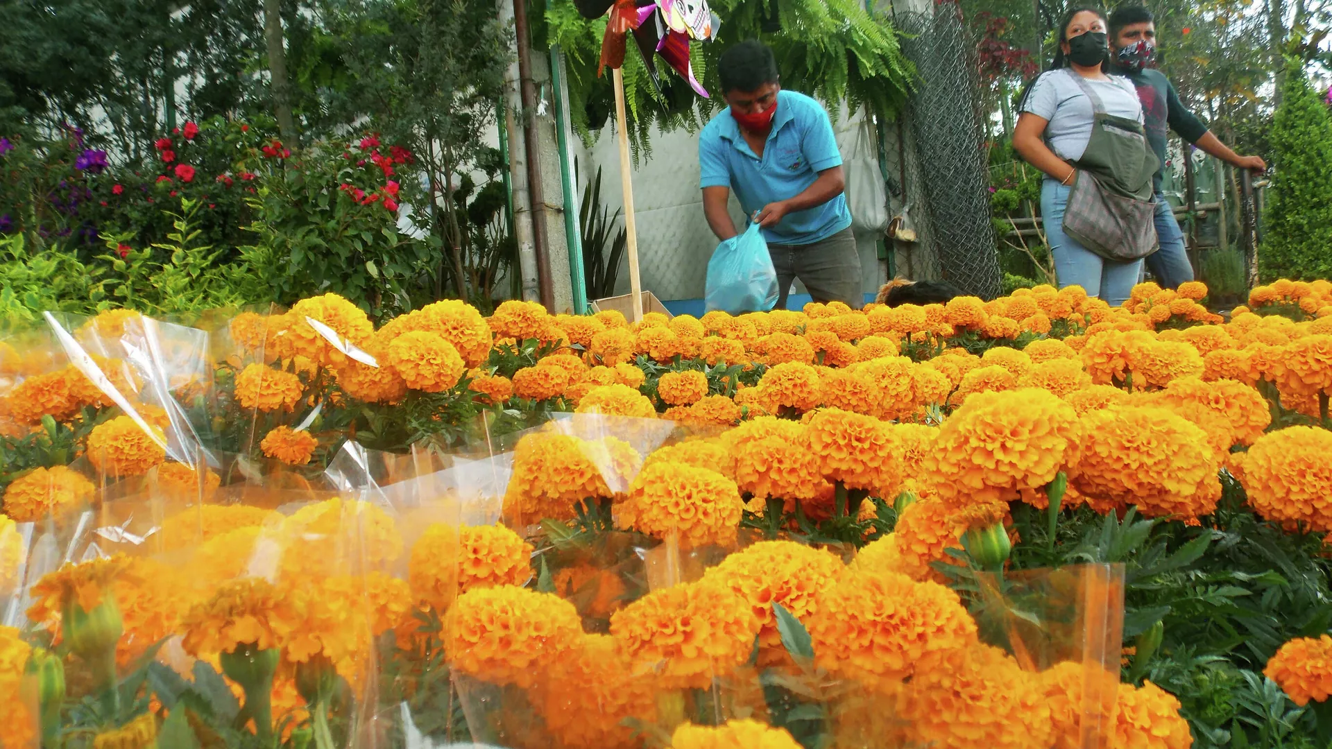 Flores, principal producto ecuatoriano para el mercado ruso