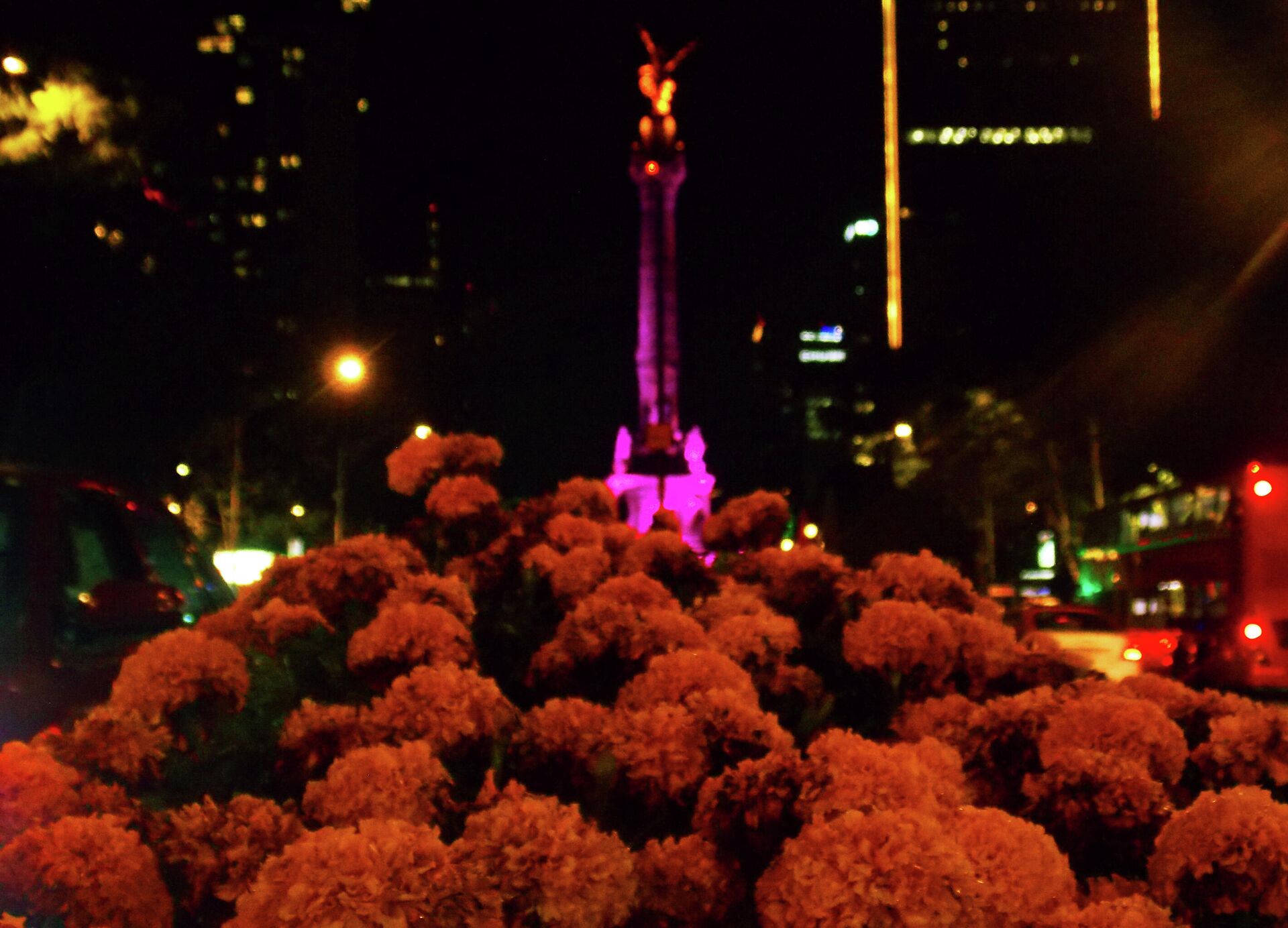 Flores de cempasúchil en Paseo de la Reforma, en la Ciudad de México Flores de cempasúchil en Paseo de la Reforma, en la Ciudad de México - Sputnik Mundo, 1920, 26.10.2021