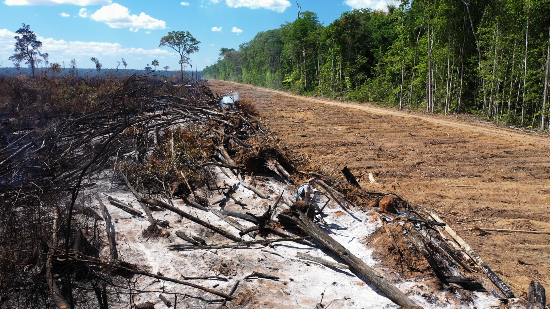 Mundano recorrió más de 1.000 kilómetros en busca de cenizas para componer su mural Mundano recorrió más de 1.000 kilómetros en busca de cenizas para componer su mural - Sputnik Mundo, 1920, 27.10.2021