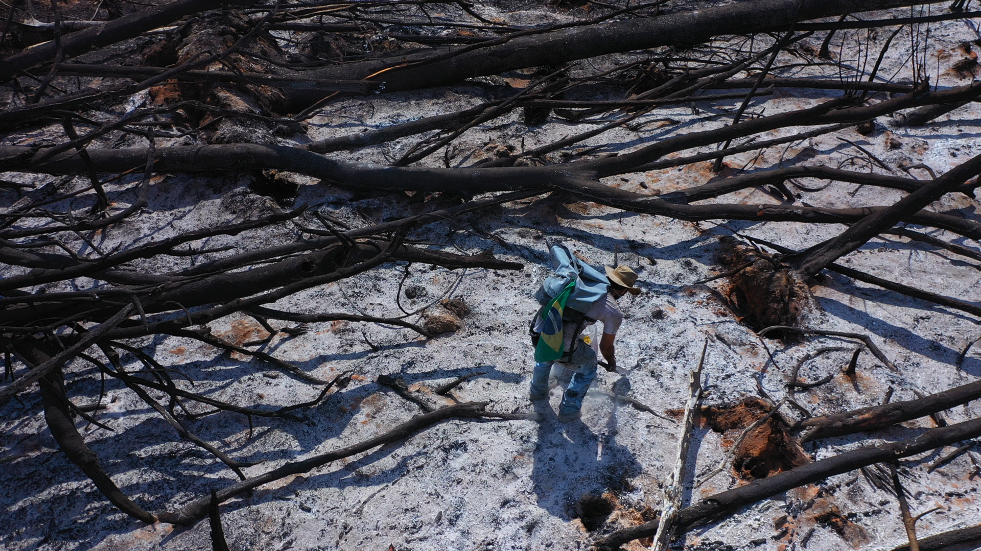 Mundano recopilando cenizas para su mural Mundano recopilando cenizas para su mural - Sputnik Mundo, 1920, 27.10.2021