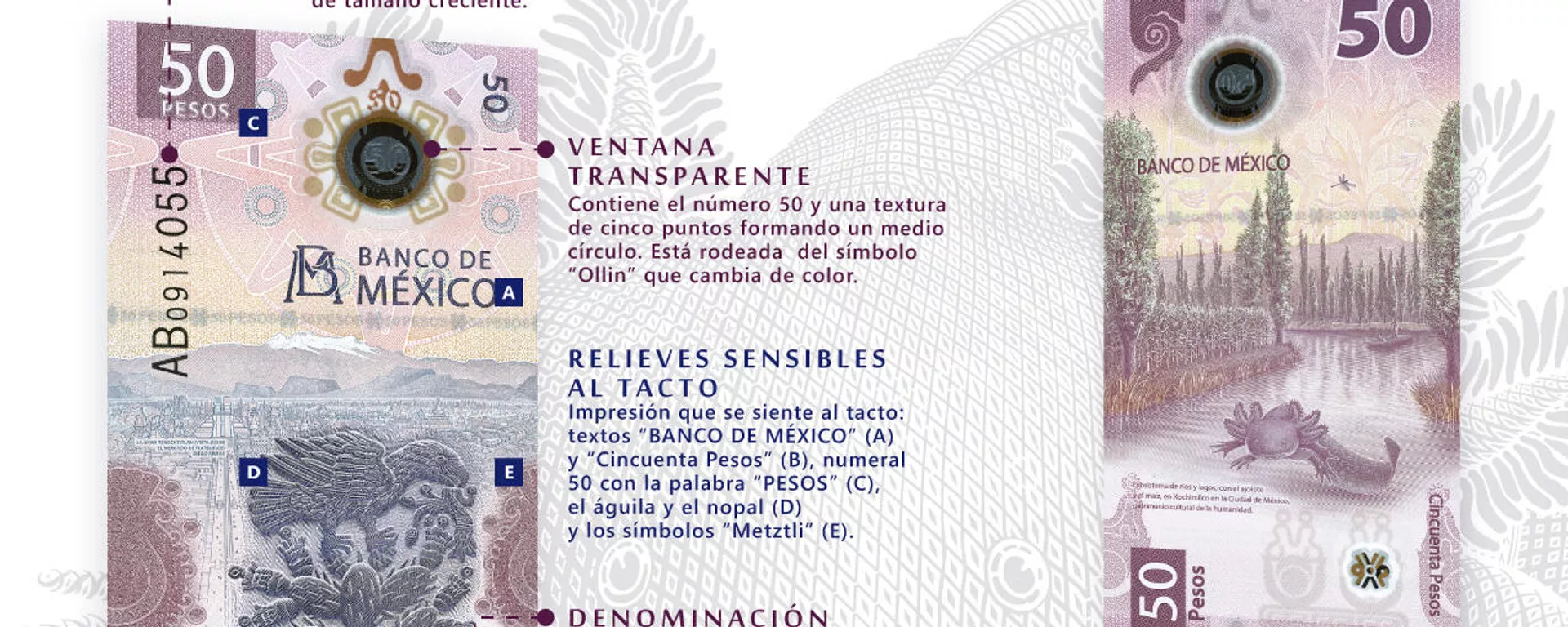 Nuevo billete de 50 pesos del Banco de México - Sputnik Mundo, 1920, 13.10.2022