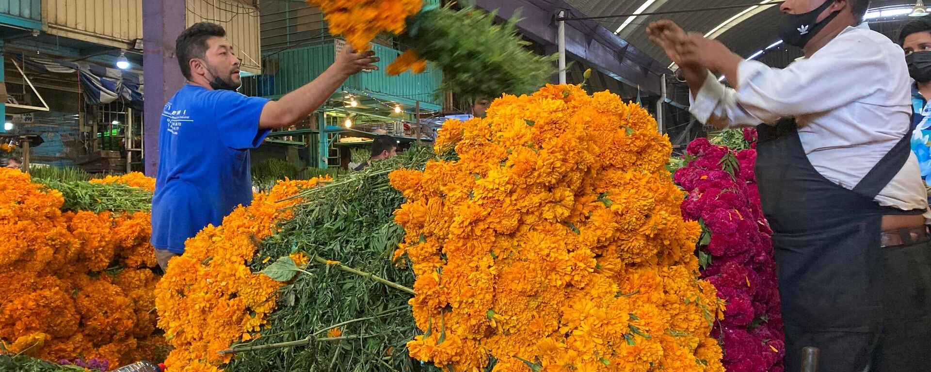 Comerciantes de flores ordenan el cempasúchitl en el mercado de Jamaica en Ciudad de México - Sputnik Mundo, 1920, 29.10.2021