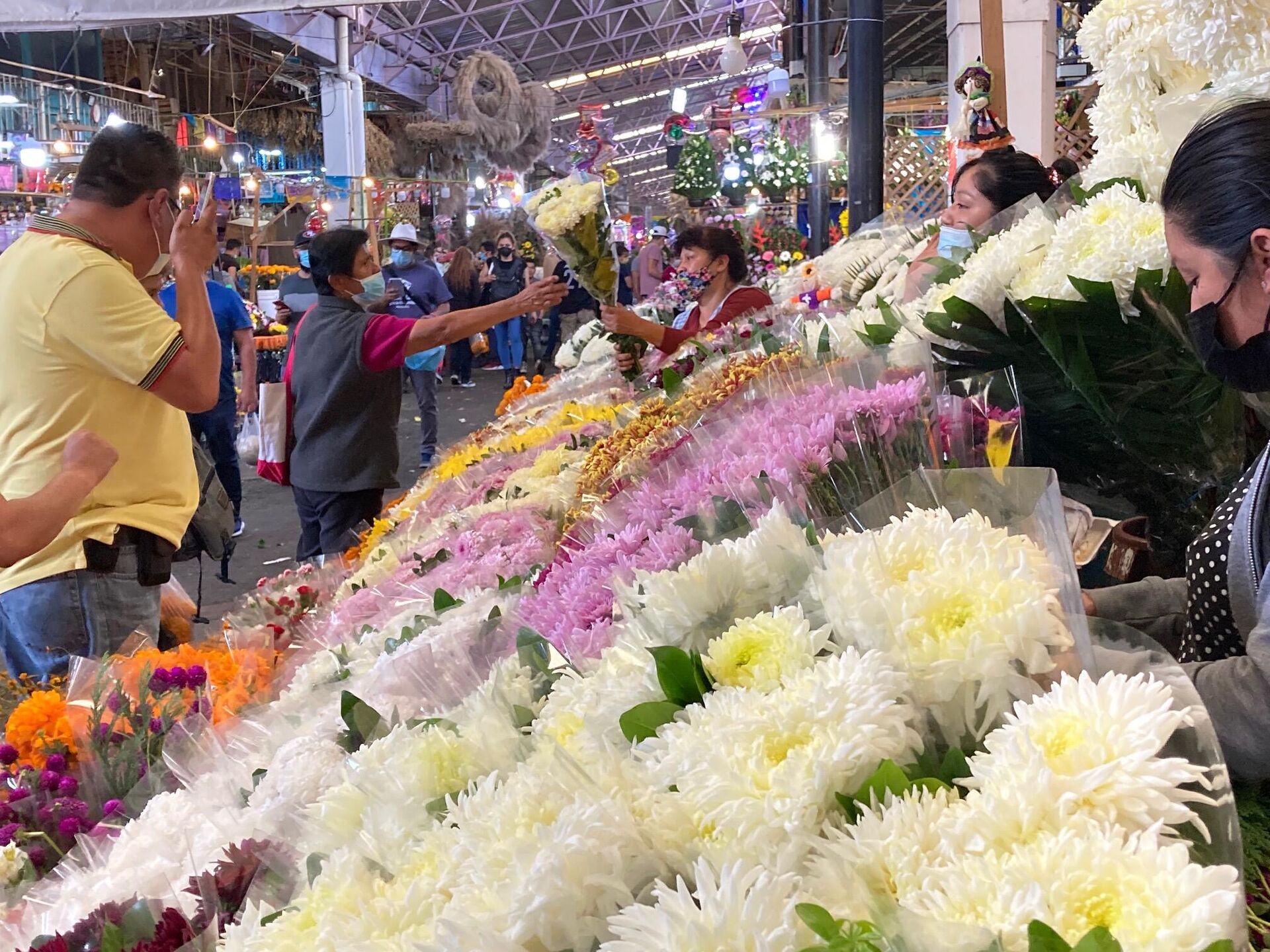 Comercio de flores durante la temporada de muertos en el Mercado de Jamaica - Sputnik Mundo, 1920, 29.10.2021