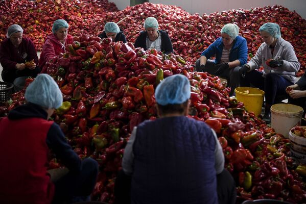 Unas mujeres preparando una tradicional salsa kosovar llamada ajvar. - Sputnik Mundo