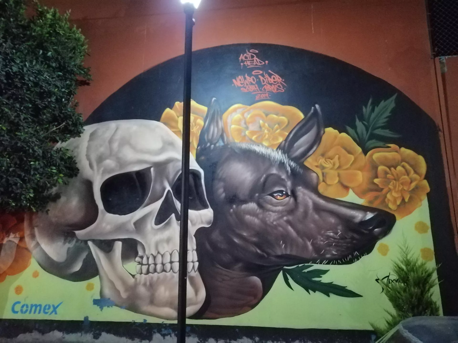 Mural callejero en Míxquic, Tláhuac, CDMX Mural callejero en Míxquic, Tláhuac, CDMX - Sputnik Mundo, 1920, 01.11.2021