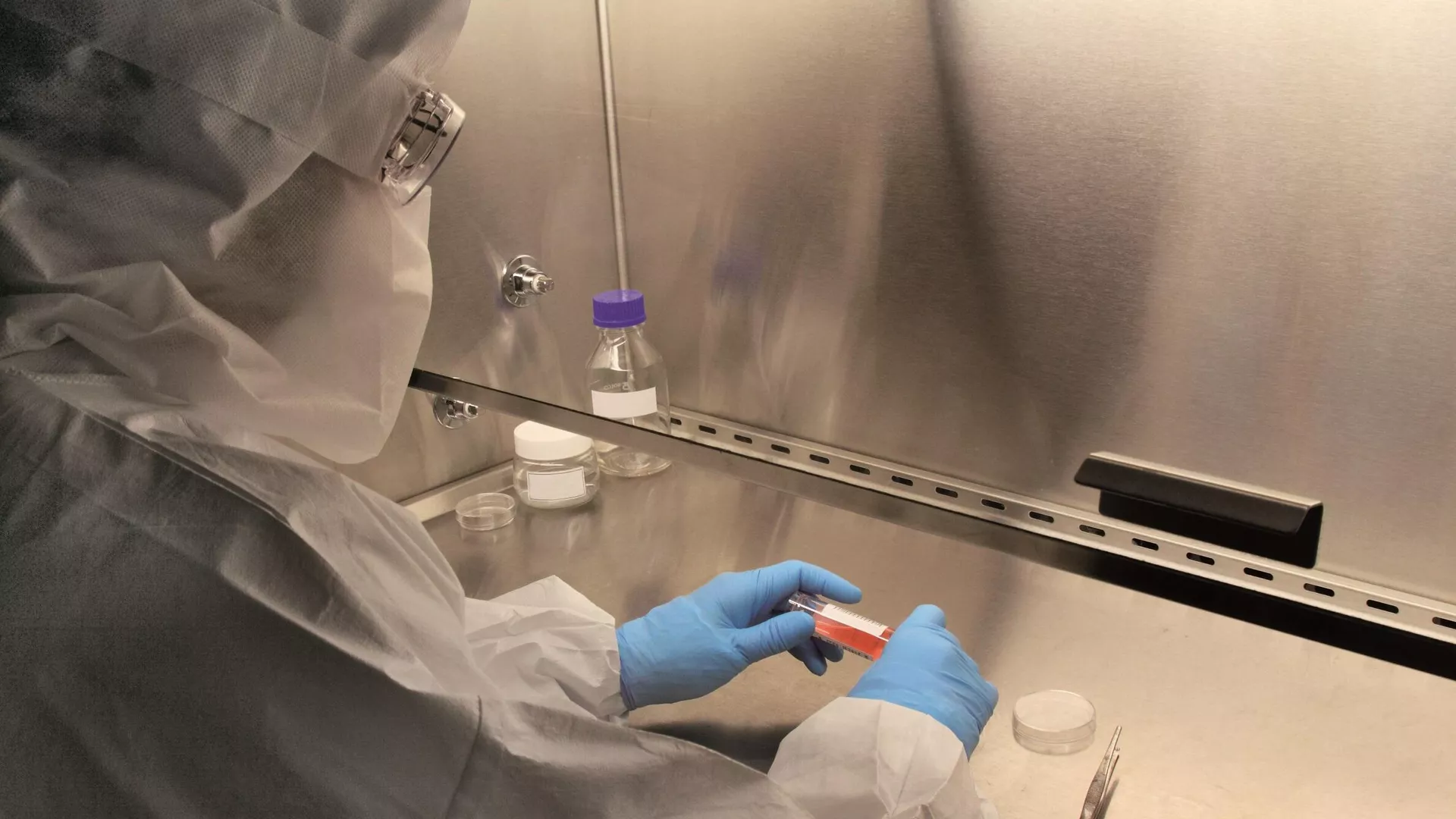 La empresa emergente BIFE, del laboratorio Craveri, desarrolla carne sin sacrificio animal