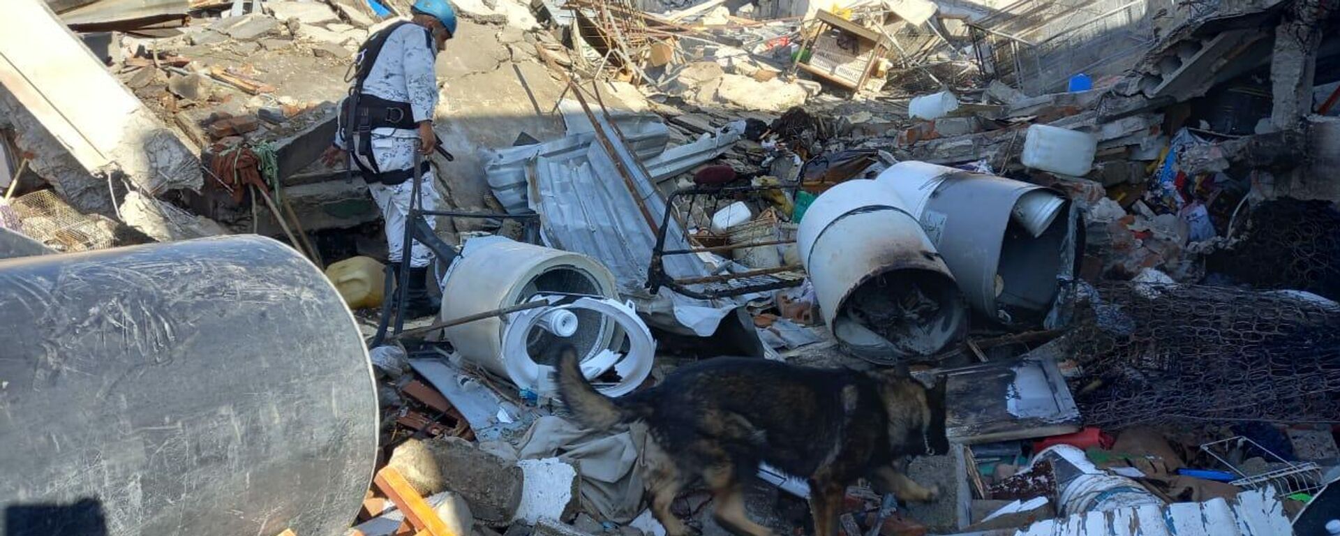 Elementos de la Guardia Nacional en operación de búsqueda de personas tras explosión en Puebla. Elementos de la Guardia Nacional en operación de búsqueda de personas tras explosión en Puebla. - Sputnik Mundo, 1920, 01.11.2021