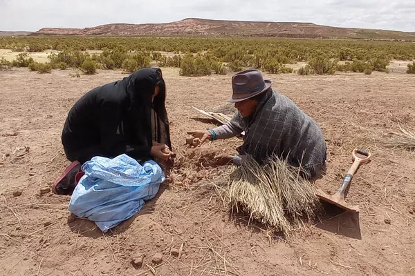 Cómo celebran el Día de los Muertos en una comunidad aymara de Bolivia Cómo celebran el Día de los Muertos en una comunidad aymara de Bolivia - Sputnik Mundo