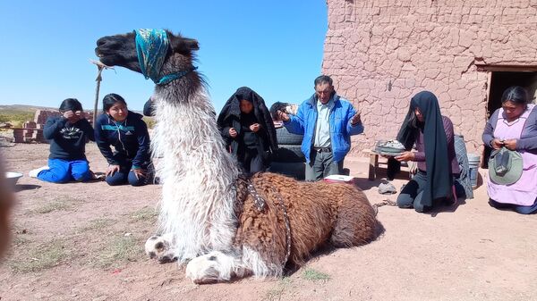 Cómo celebran el Día de los Muertos en una comunidad aymara de Bolivia - Sputnik Mundo