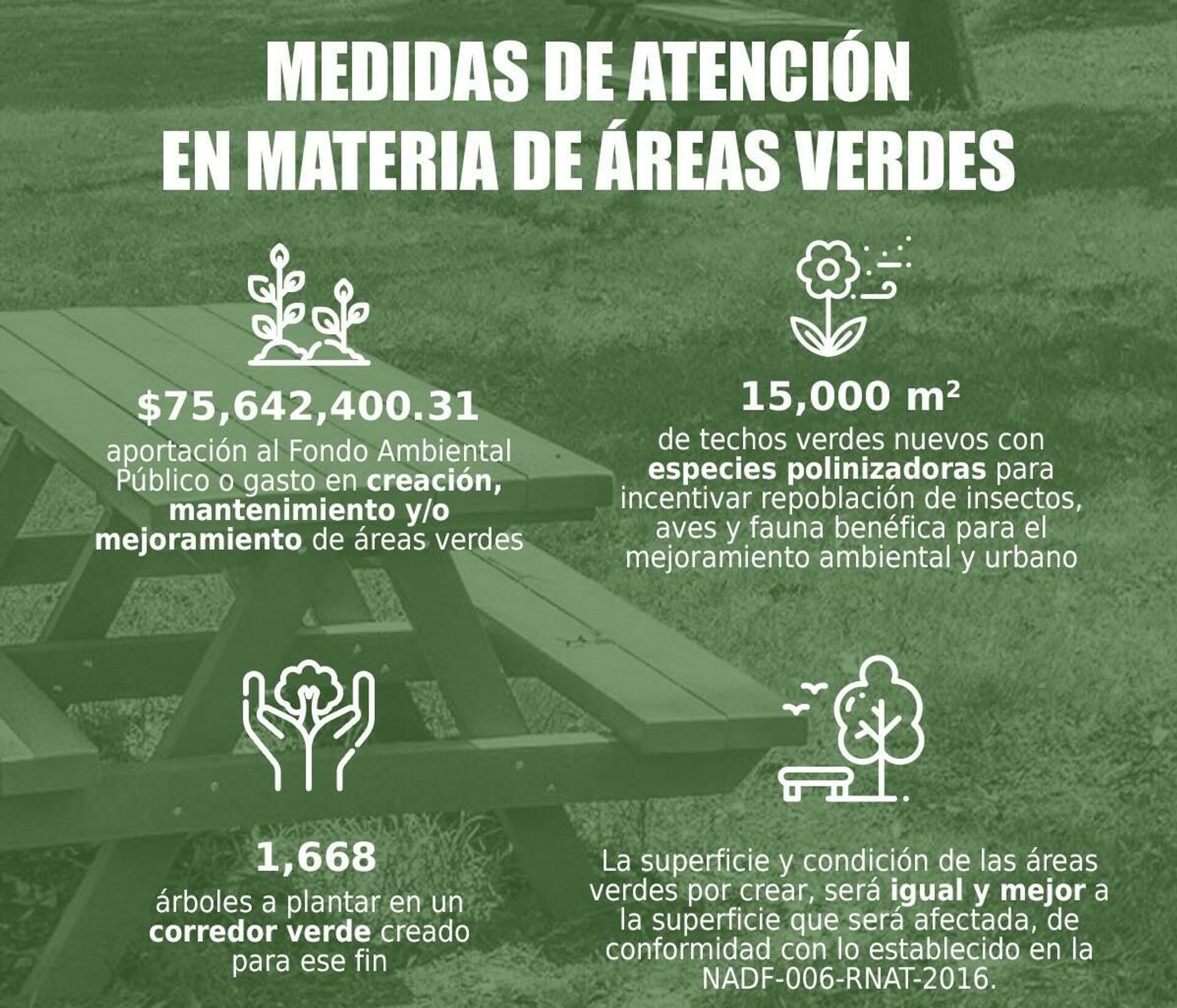 Medidas de atención en materia de áreas verdes - Sputnik Mundo, 1920, 03.11.2021