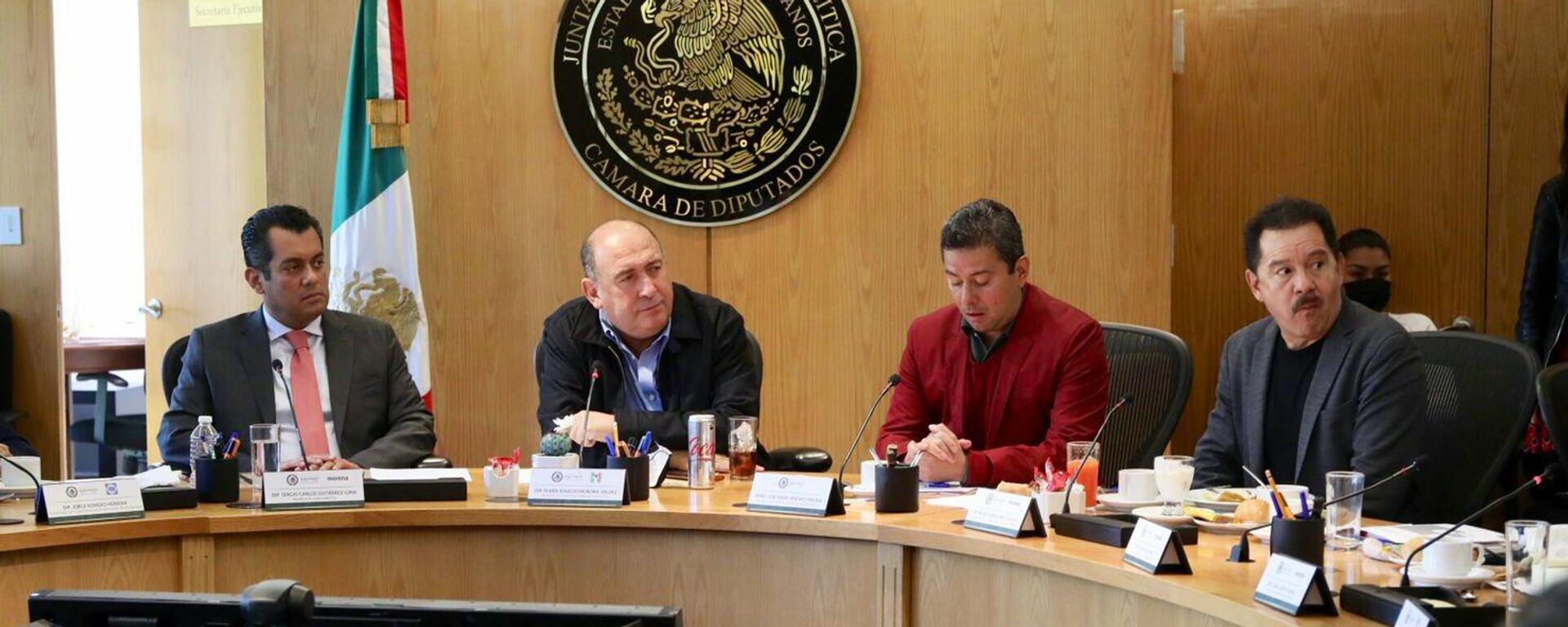 Rubén Moreira, coordinador de la bancada del PRI en la Cámara de Diputados - Sputnik Mundo, 1920, 04.11.2021
