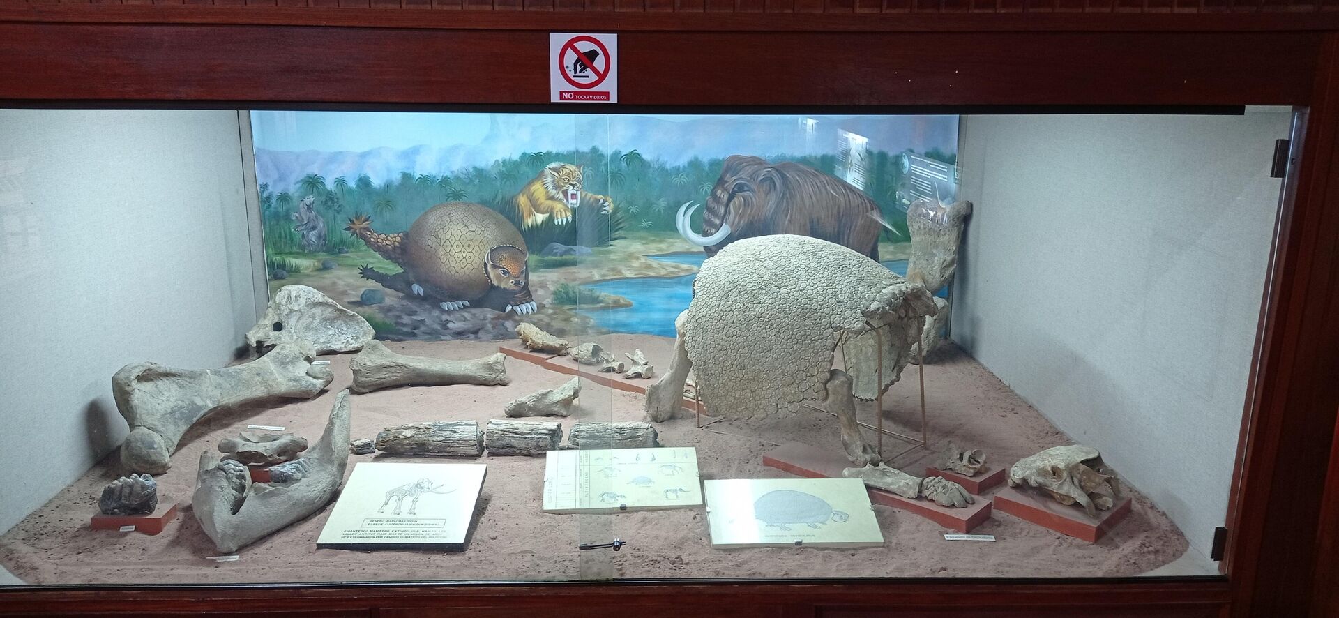 Colección del Instituto de Investigaciones Antropológicas y Museo Arqueológico (INIAM) de Cochabamba, Bolivia - Sputnik Mundo, 1920, 06.11.2021