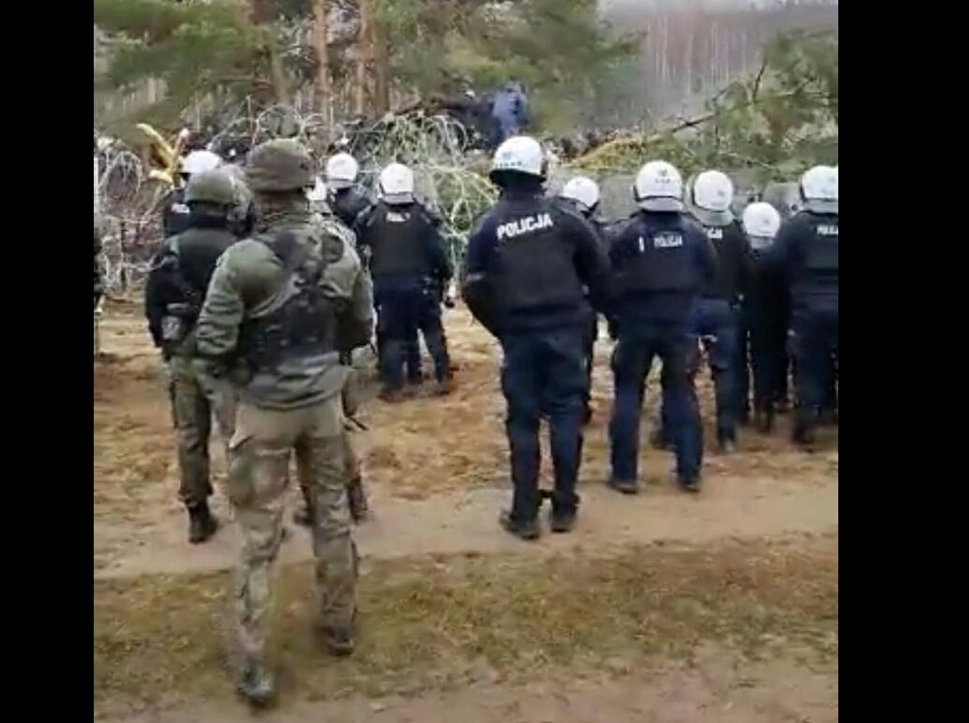  Fuerzas de seguridad de Polonia en la frontera con Bielorrusia - Sputnik Mundo, 1920, 08.11.2021