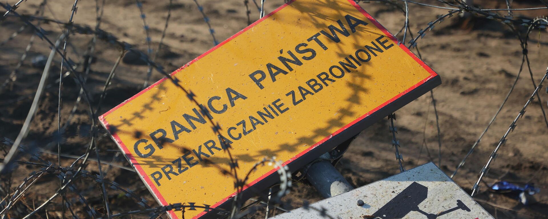 Situacióne en la frontera entre Polonia y Bielorrusia - Sputnik Mundo, 1920, 09.11.2021