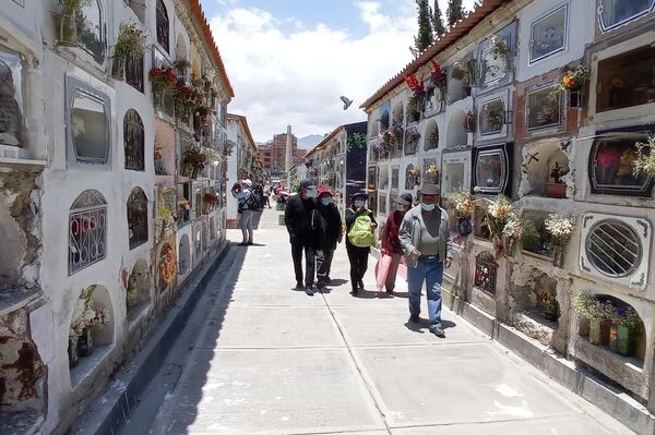 Día de las Ñatitas en Bolivia - Sputnik Mundo