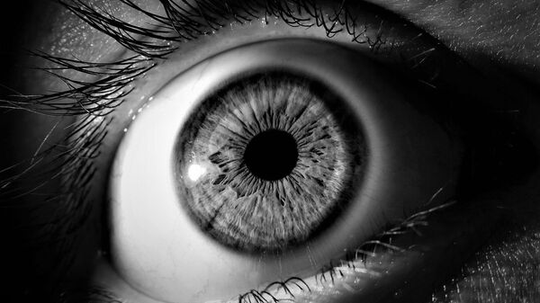 Un ojo (imagen referencial) - Sputnik Mundo