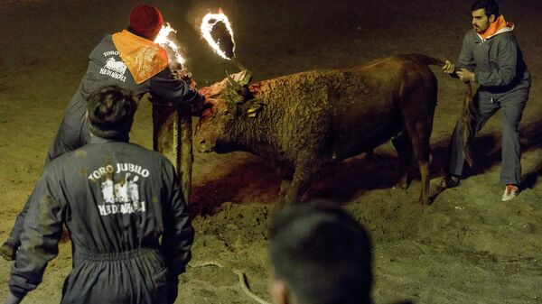 El Toro Jubilo (Medinaceli, Soria) - Sputnik Mundo