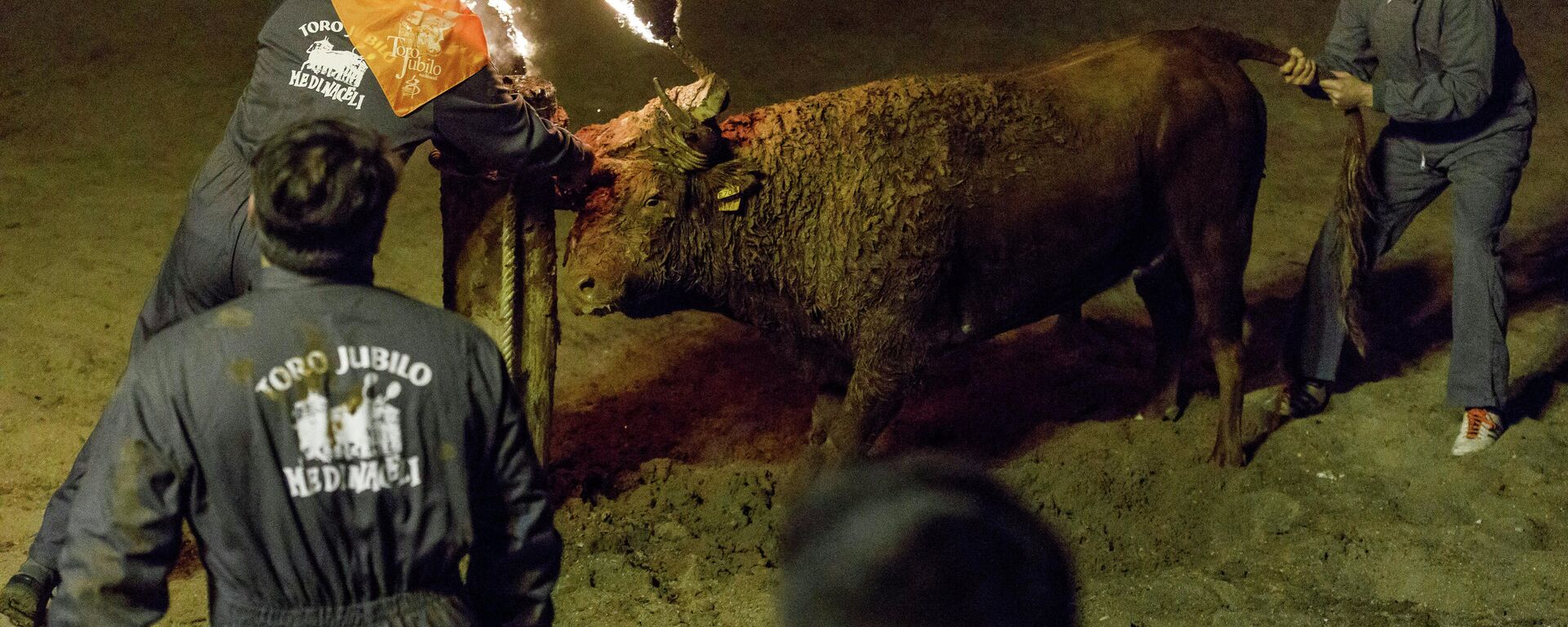 El Toro Jubilo (Medinaceli, Soria) El Toro Jubilo (Medinaceli, Soria) - Sputnik Mundo, 1920, 15.11.2021