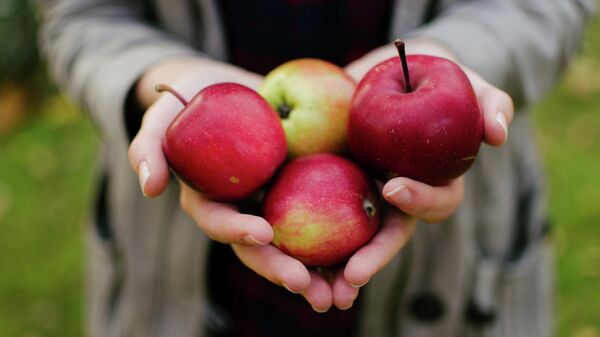 Una persona sostiene unas manzanas - Sputnik Mundo