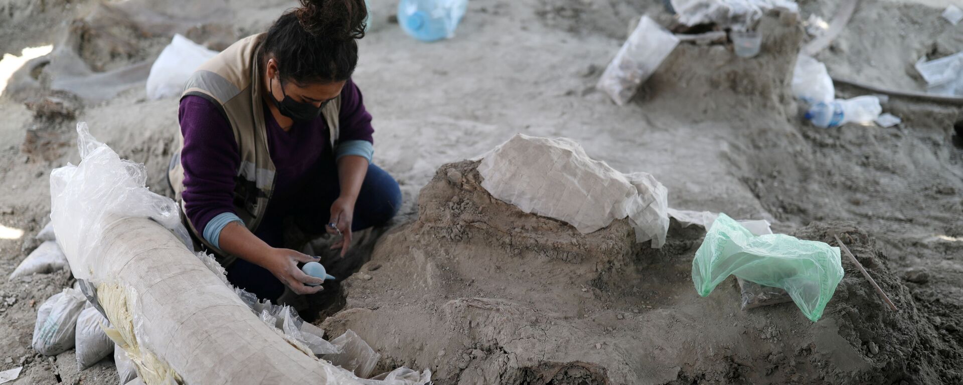 Сотрудник Национального института антропологии и истории Мексики (INAH) работает на месте, где были обнаружены скелеты мамонтов - Sputnik Mundo, 1920, 18.11.2021