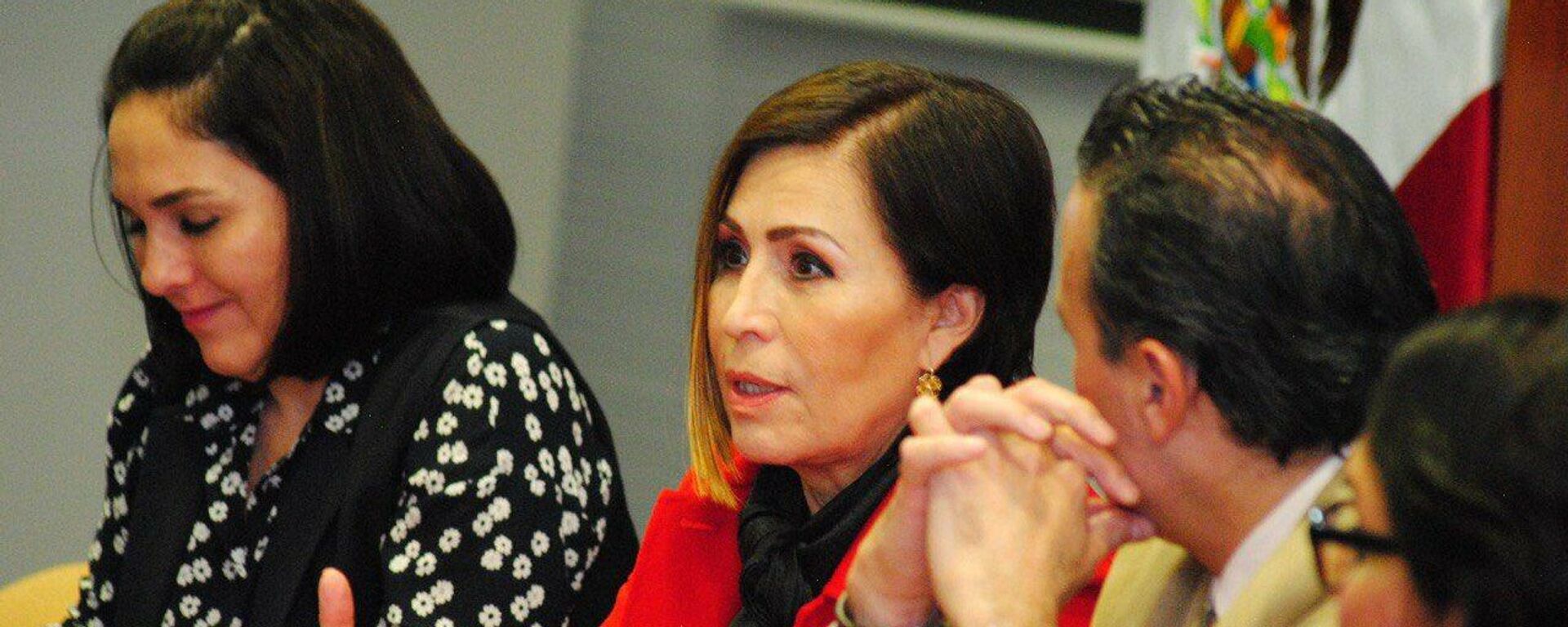 Rosario Robles, secretaria de Desarrollo Social del gobierno de Enrique Peña Nieto. - Sputnik Mundo, 1920, 22.11.2021