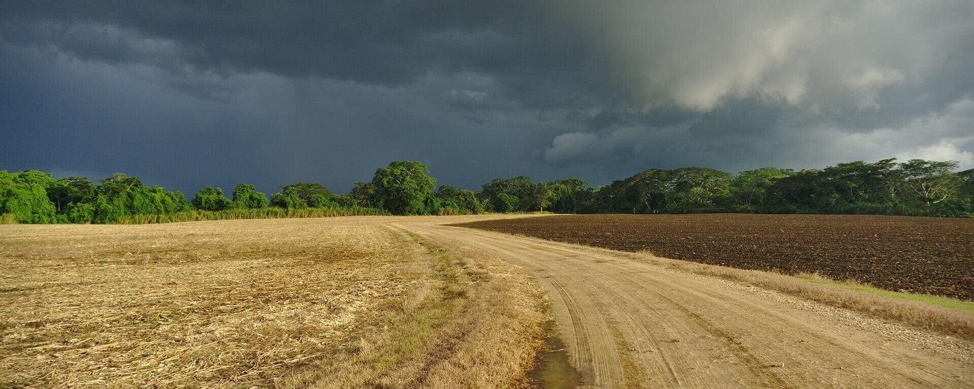 Campo español - Sputnik Mundo, 1920, 22.11.2021