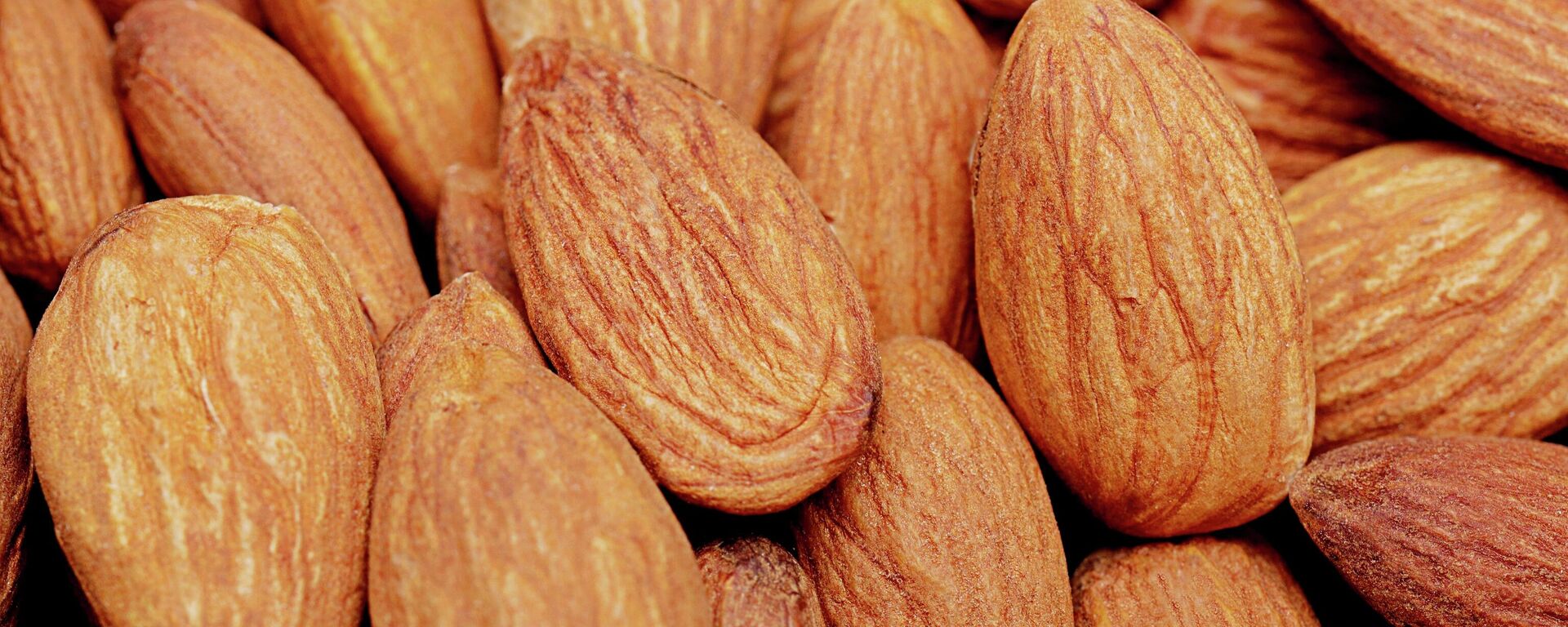 Almendras, imagen referencial - Sputnik Mundo, 1920, 24.11.2021