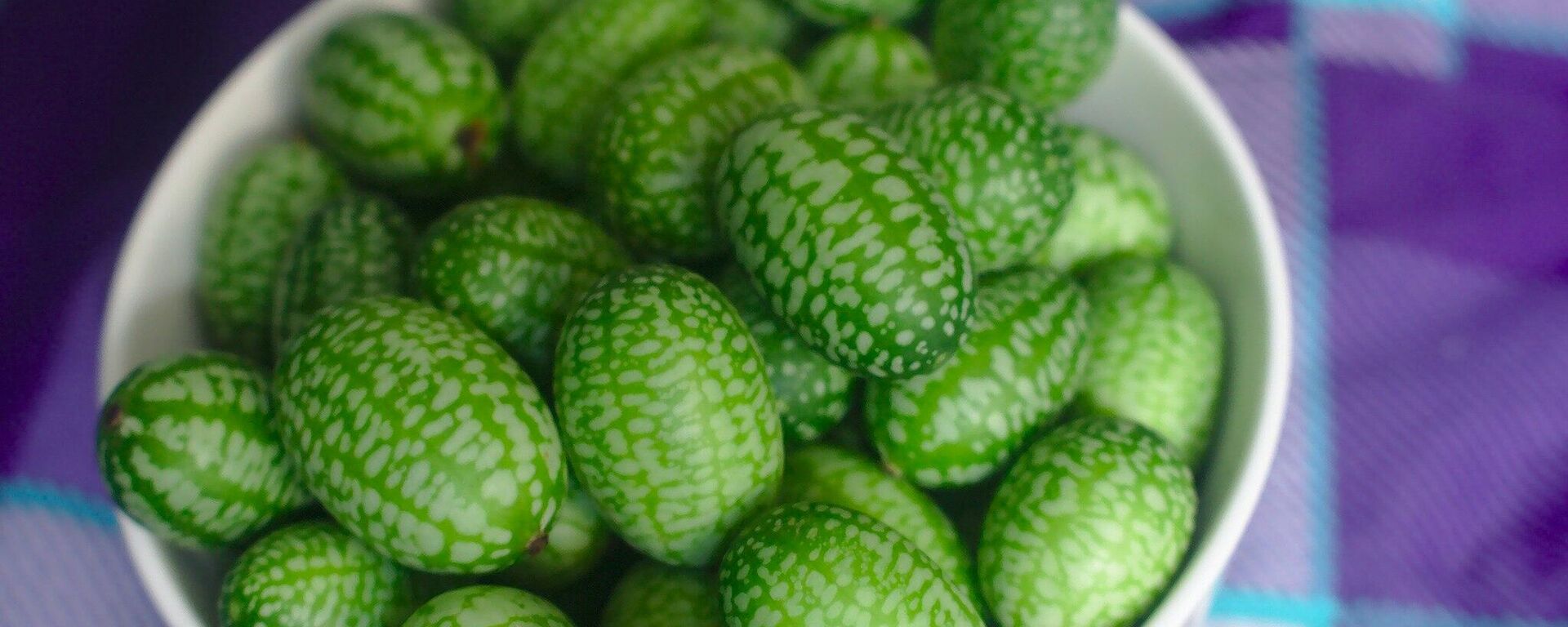 El cucamelón, imagen referencial - Sputnik Mundo, 1920, 24.11.2021