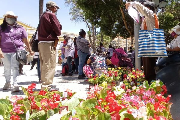 Marchas en Bolivia por el Día Internacional de la Eliminación de la Violencia contra la Mujer - Sputnik Mundo