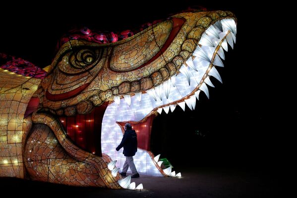 El festival de luces en el Jardín de plantas de París. - Sputnik Mundo