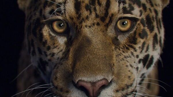 La imagen de un Jaguar creada por el software, no es una foto - Sputnik Mundo