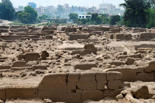 Las excavaciones fueron realizadas en Cajamarquilla, a unos 25 km al este de la capital, Lima. La zona abarca unas 167 hectáreas y es uno de los mayores yacimientos arqueológicos del país. - Sputnik Mundo