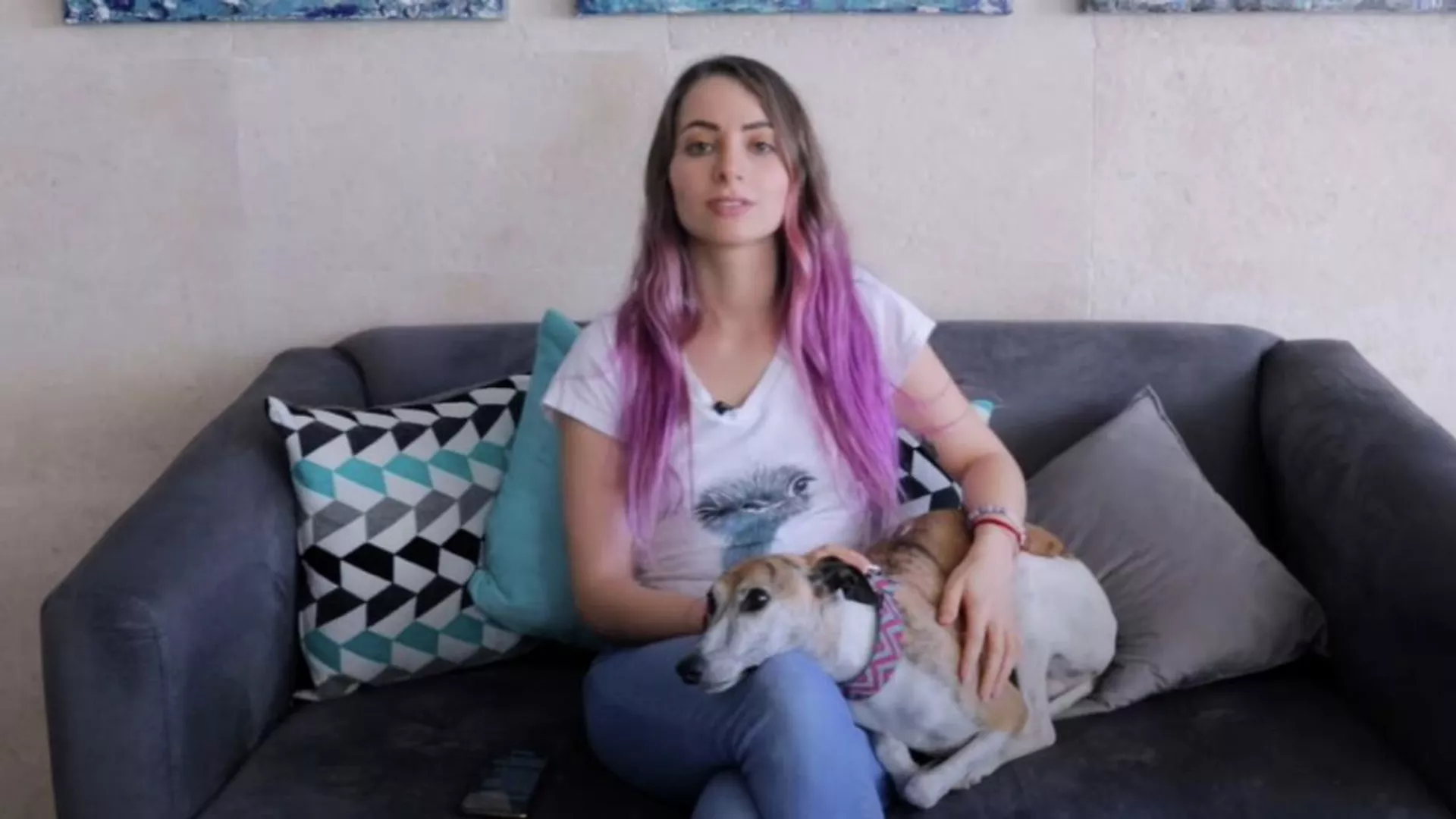 YosStop anuncia cambios en su canal de YouTube. YosStop anuncia cambios en su canal de YouTube.