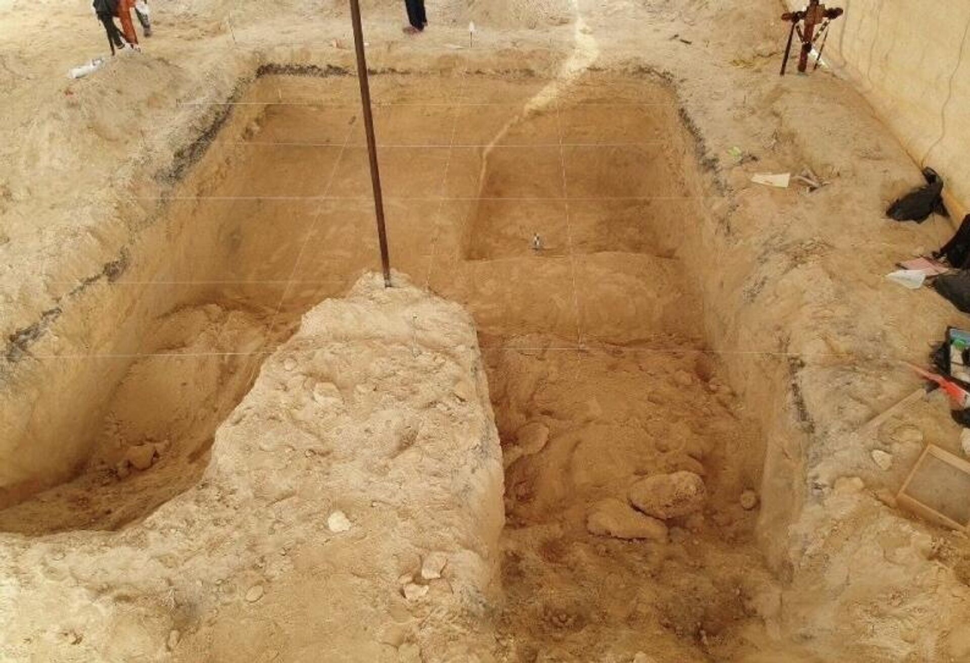 Restos de un mamut son encontrados en Puebla, México.  - Sputnik Mundo, 1920, 09.12.2021