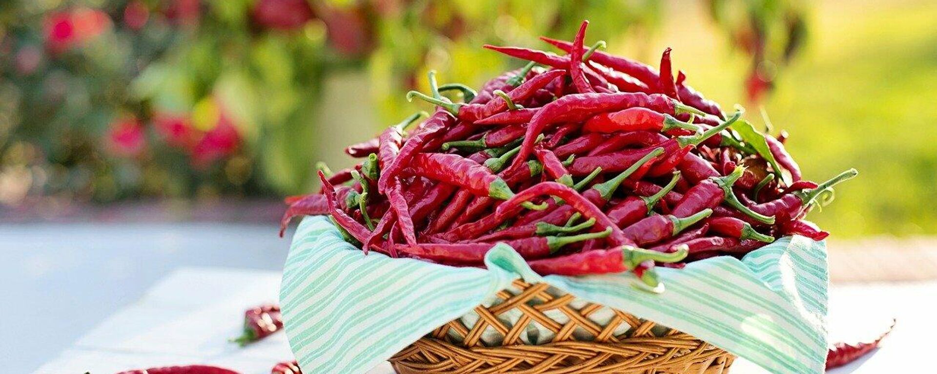 ¿Por qué el chile pica?  - Sputnik Mundo, 1920, 09.12.2021