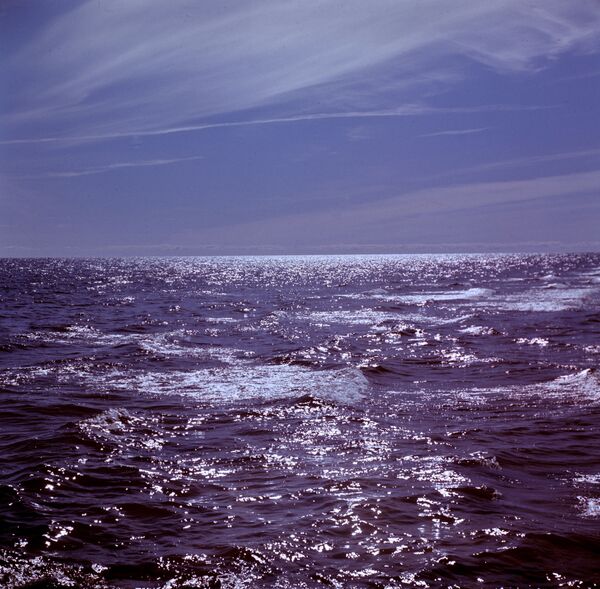 La elección del color se inspiró, entre otras cosas, en el metaverso de Mark Zuckerberg y el efecto que tuvo el confinamiento por la pandemia.En la foto: una vista del mar Báltico. - Sputnik Mundo