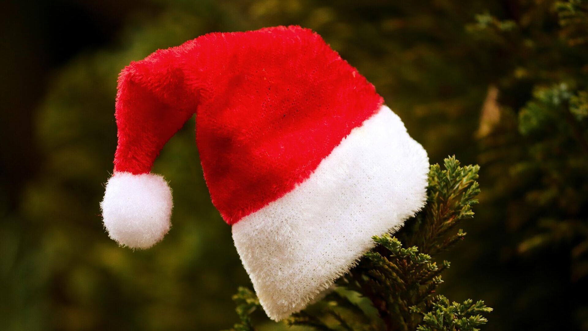 Una gorra de Navidad Una gorra de Navidad - Sputnik Mundo, 1920, 13.12.2021