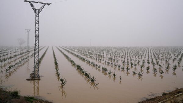 El desbordamiento del río Ebro - Sputnik Mundo