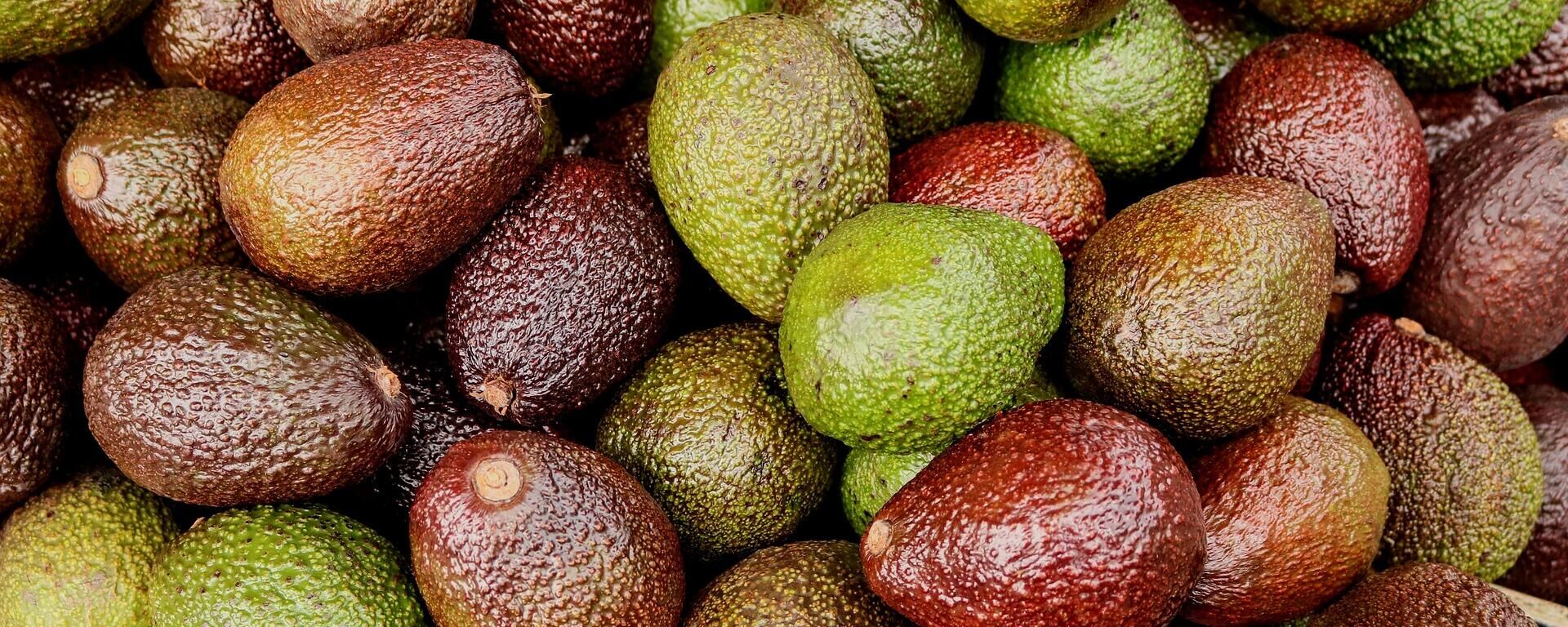 Aguacate, uno de los productos más codiciados del campo mexicano. - Sputnik Mundo, 1920, 14.12.2021