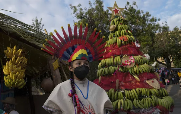Un árbol de Navidad hecho de plátanos en La Paz, Bolivia. Un árbol de Navidad hecho de plátanos en La Paz, Bolivia. - Sputnik Mundo