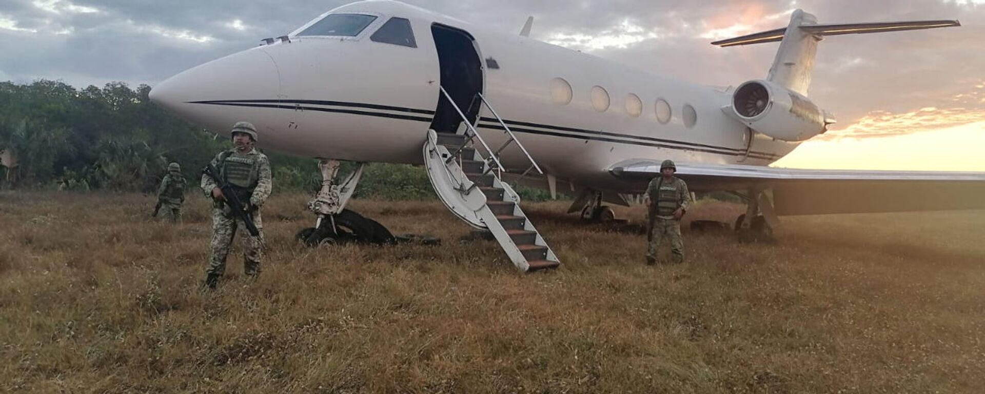 El decomiso de la aeronave se dio en Chiapas  - Sputnik Mundo, 1920, 16.12.2021
