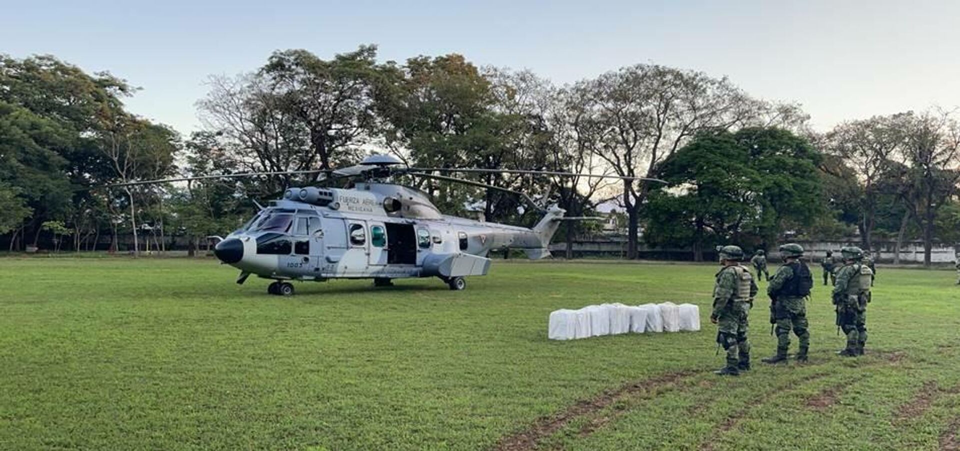 Fuerza Aérea Mexicana  - Sputnik Mundo, 1920, 16.12.2021