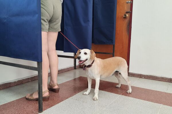 Elecciones en Chile - Sputnik Mundo
