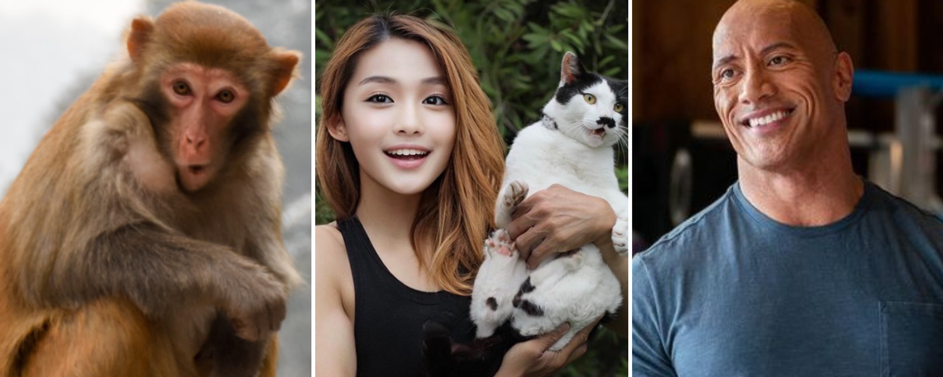 Un mono, la 'influencer' japonesa Azusagakuyuki y el actor estadounidense Dwayne Johnson - Sputnik Mundo, 1920, 20.12.2021