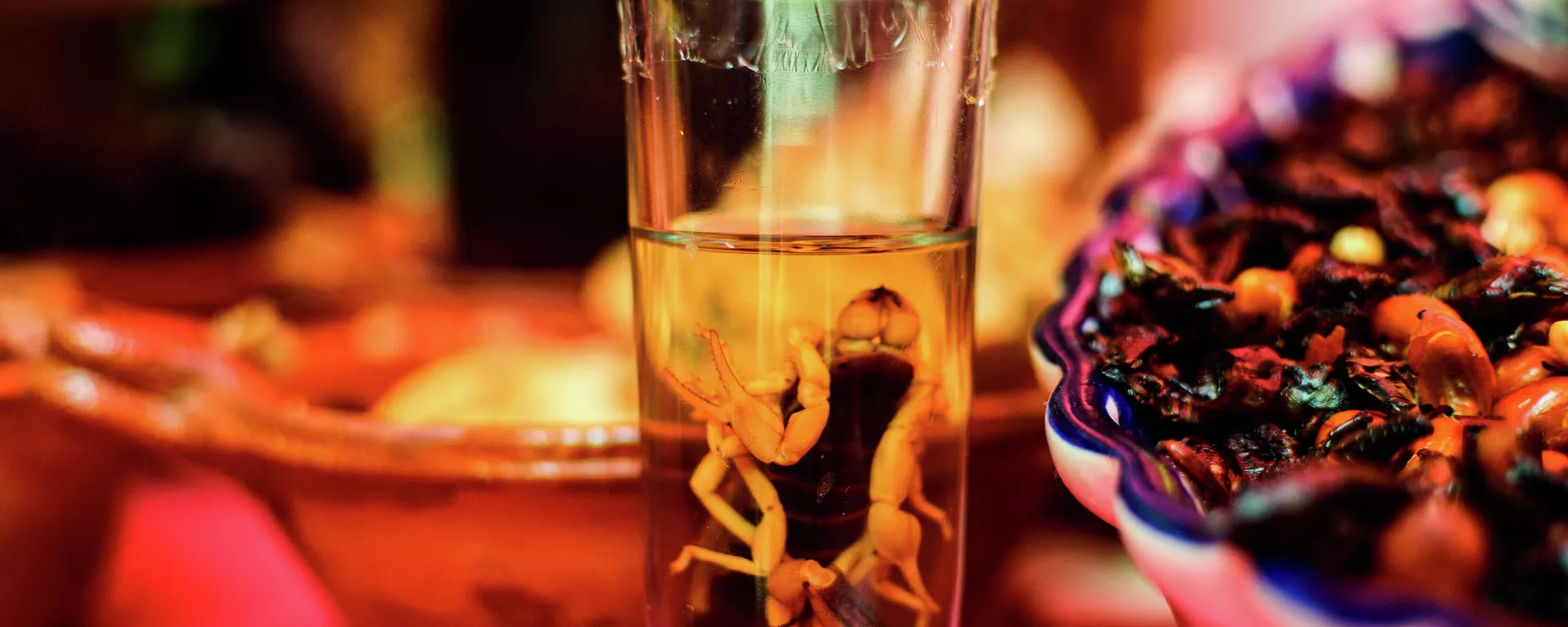 Vaso de mezcal con un escorpión dentro Vaso de mezcal con un escorpión dentro - Sputnik Mundo, 1920, 24.02.2022