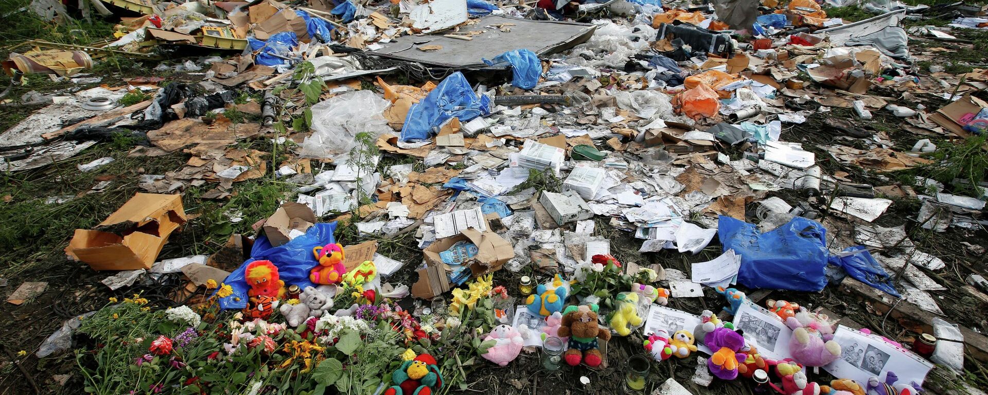 El vuelo MH17 en Ucrania que causó 298 muertos en julio de 2014 - Sputnik Mundo, 1920, 22.12.2021